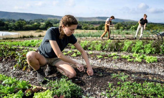 La agricultura regenerativa es una alternativa a un modelo de agricultura industrial de gran escala.