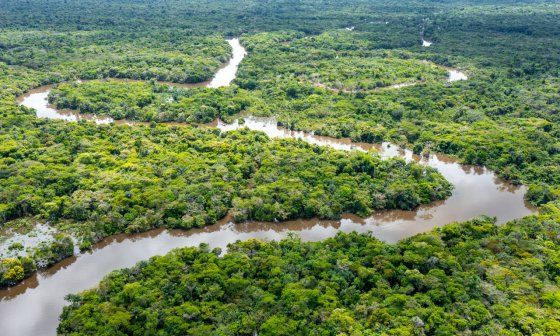 Río Amazonas.